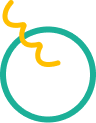 Image shape